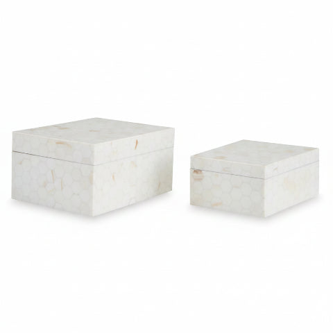 Aldenburg Box (Set of 2)