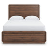 Hollinaze Queen Panel Bed