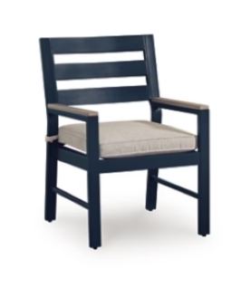 Mabry Shores Outdoor Arm Chair with Cushion